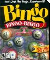 Bingo Bingo Bingo