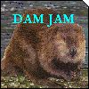 DamJam