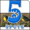 5 Spots