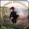 Formula Broomstick