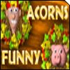 Funny Acorns