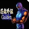 Ninja Gaiden