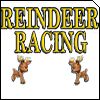 Reindeer Racing