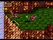 Battletoads 2