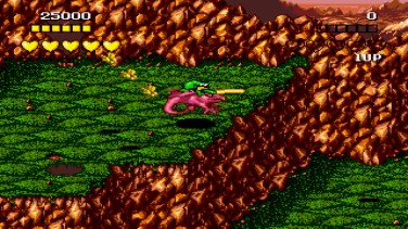 Battletoads and Double Dragon 2