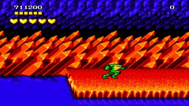 Battletoads and Double Dragon 8