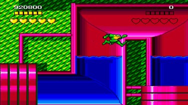 Battletoads and Double Dragon 12