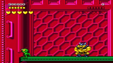 Battletoads and Double Dragon 13