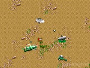 Desert Strike 29