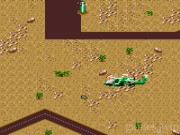 Desert Strike 31