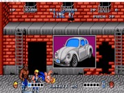 Double Dragon 14