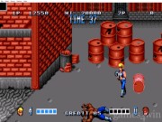 Double Dragon 13