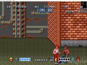 Double Dragon 8