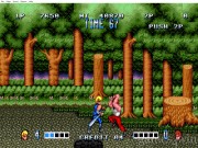Double Dragon 7