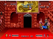 Double Dragon 18