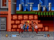 Double Dragon 16