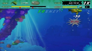 Feeding Frenzy 7