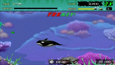 Feeding Frenzy 13
