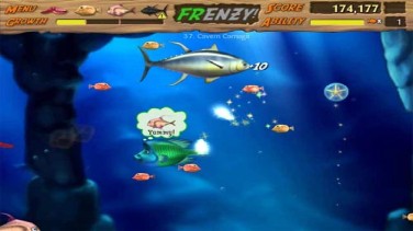 Feeding Frenzy 2 16
