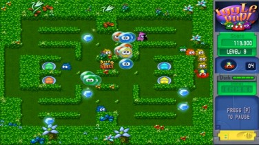 Iggle Pop 11