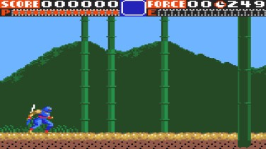 Ninja Gaiden 6