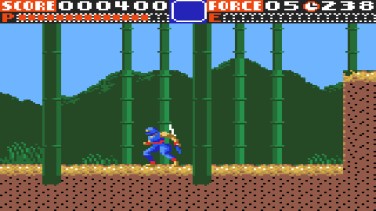 Ninja Gaiden 8