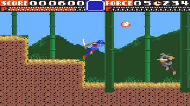 Ninja Gaiden 9
