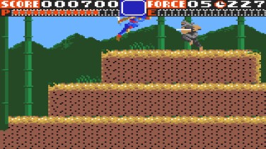 Ninja Gaiden 10