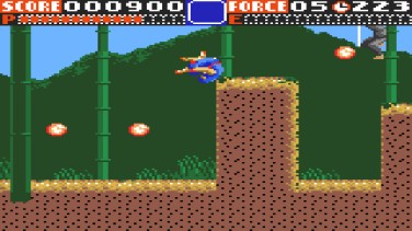 Ninja Gaiden 11