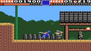 Ninja Gaiden 12