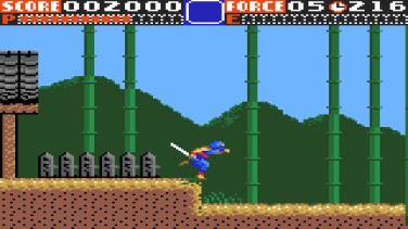Ninja Gaiden 13