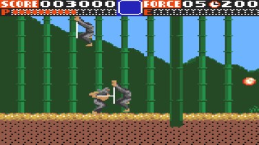 Ninja Gaiden 14