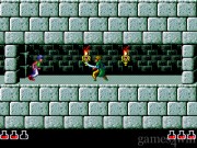 Prince of Persia 24