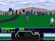 Road Rash 23