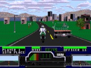 Road Rash 29