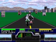 Road Rash 30