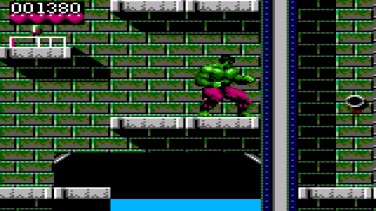 The Incredible Hulk 13
