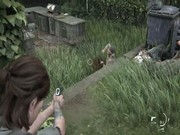 The Last Of Us 16