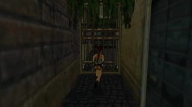 Tomb Raider: Chronicles 8