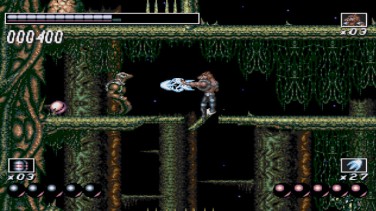 Wolf Child 3