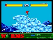 Worms 15