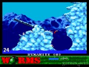 Worms 5