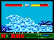 Worms 18