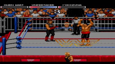WWF RAW 8
