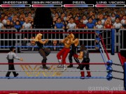 WWF RAW 17