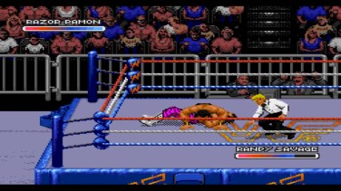 WWF Royal Rumble 1