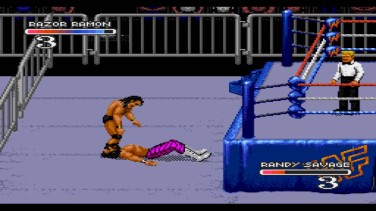 WWF Royal Rumble 2