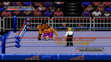 WWF Royal Rumble 3