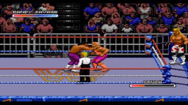 WWF Royal Rumble 6