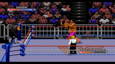 WWF Royal Rumble 11
